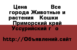 Zolton › Цена ­ 30 000 - Все города Животные и растения » Кошки   . Приморский край,Уссурийский г. о. 